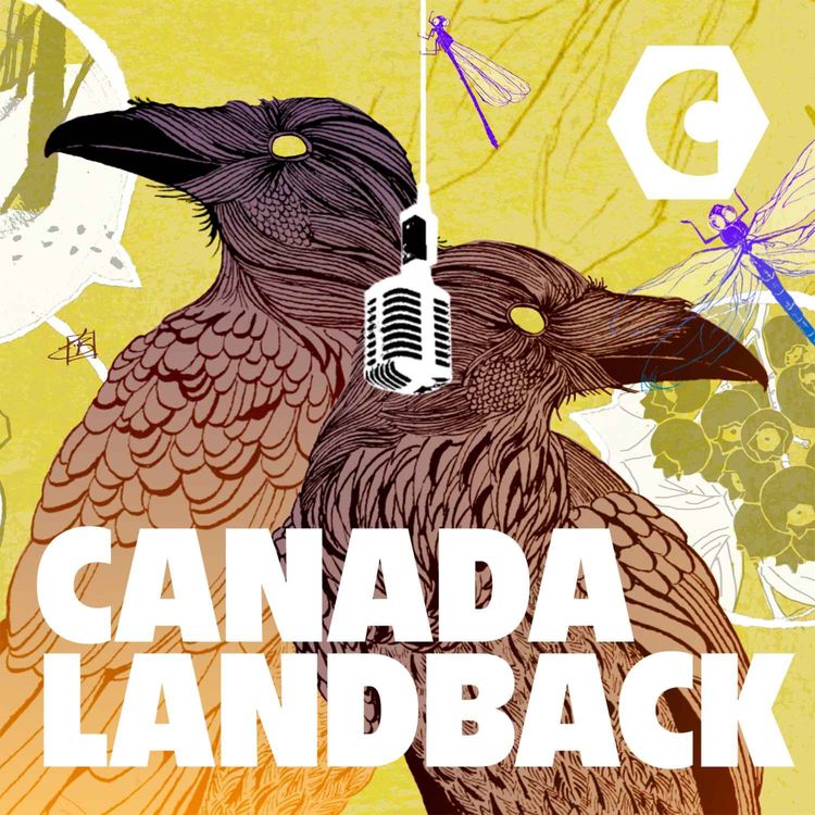 cover art for (CANADALANDBACK) Reclamation At Stoney Point - Part One