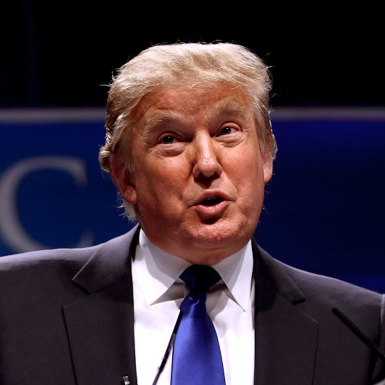 cover art for The Master Plan of Mad King Donny