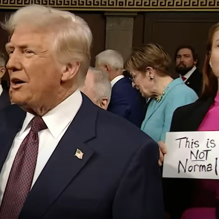 cover art for How to Win The Dumb Trade War