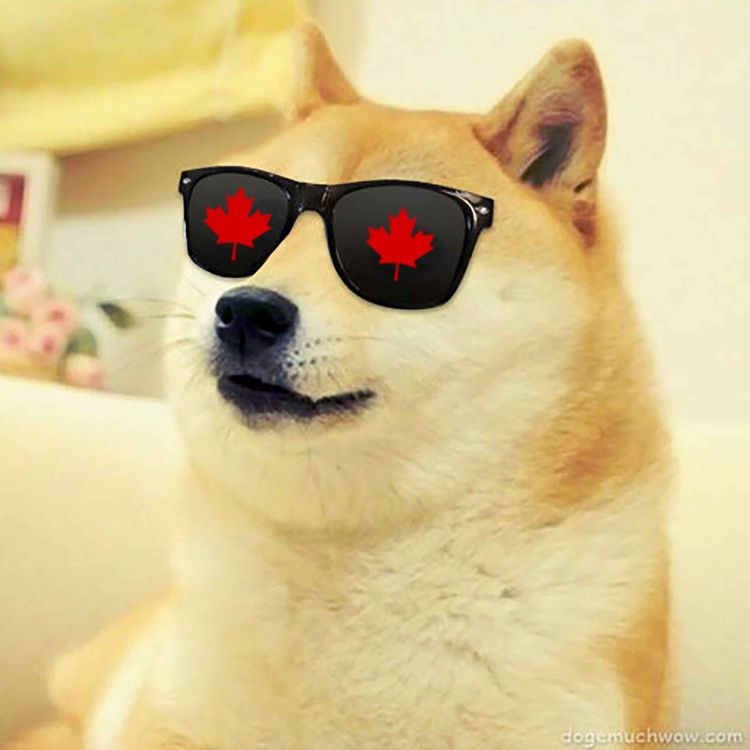 cover art for Should We Be Worried About Canadian DOGE?