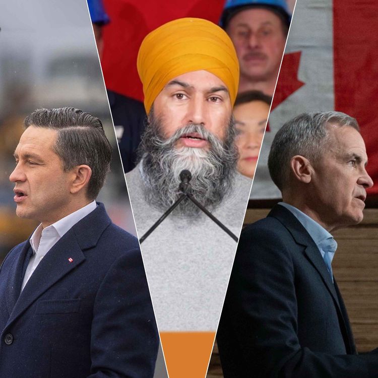 cover art for Political Animals in the Wild (a Field Report from Ottawa)