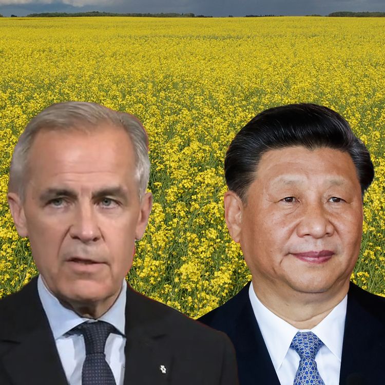 cover art for Wait, We're Also in a Trade War with China?