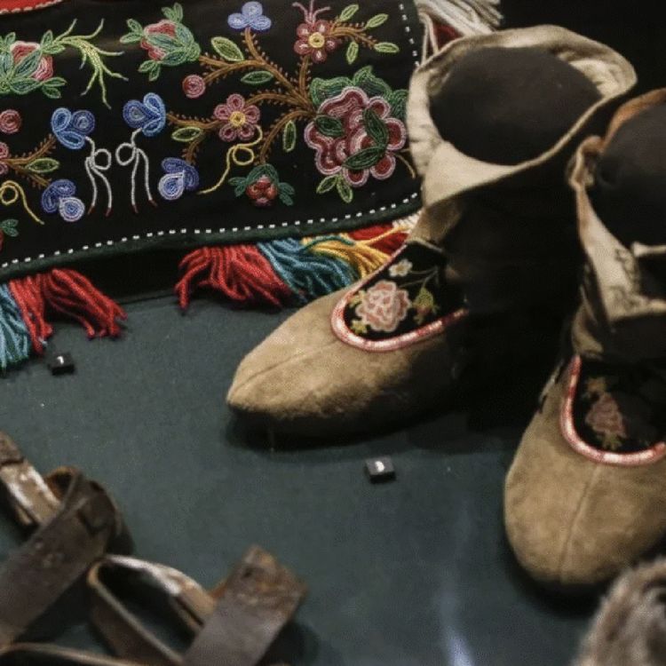 cover art for The Bay has a Secret, Ancient Archive and it’s Being Sold off to Millionaires