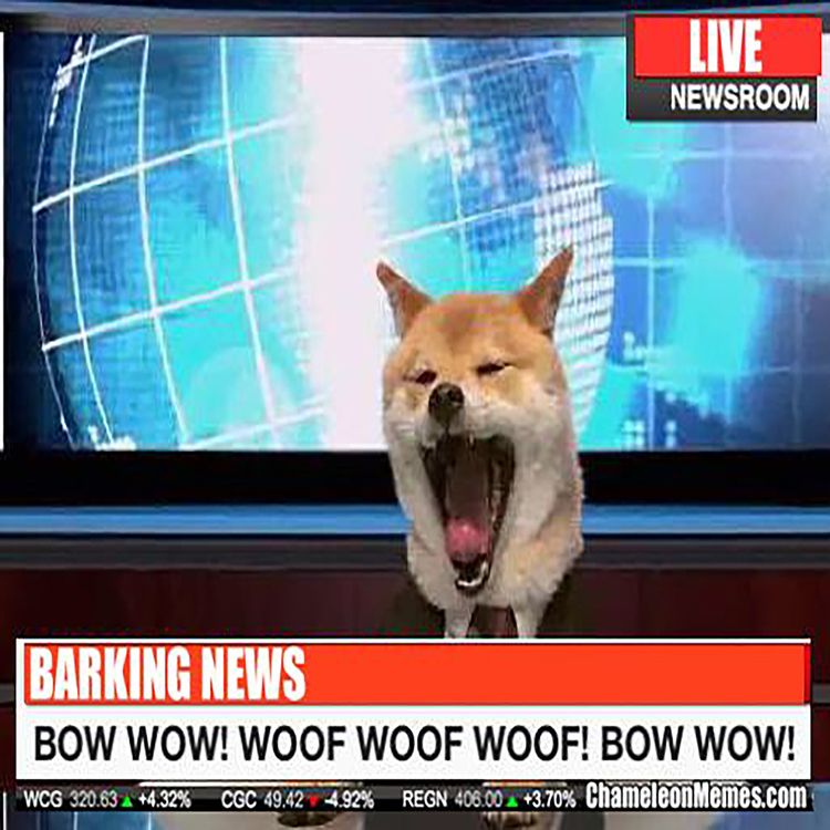 cover art for What the Heck is a “Newsfluencer”?