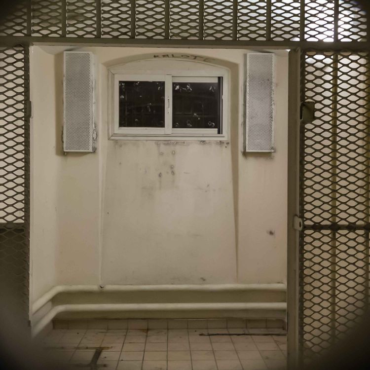 cover art for Why We Should Let More People Out on Bail