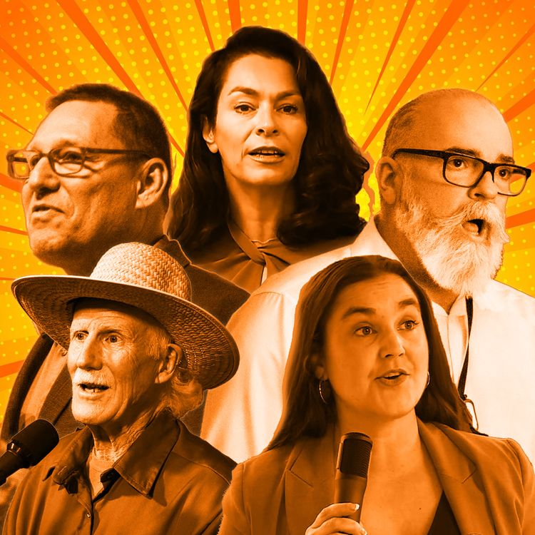 cover art for Every NDP Leadership Candidate on WTF They Would Do