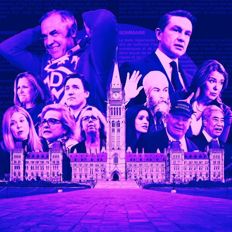 cover art for The Year of the Elbows