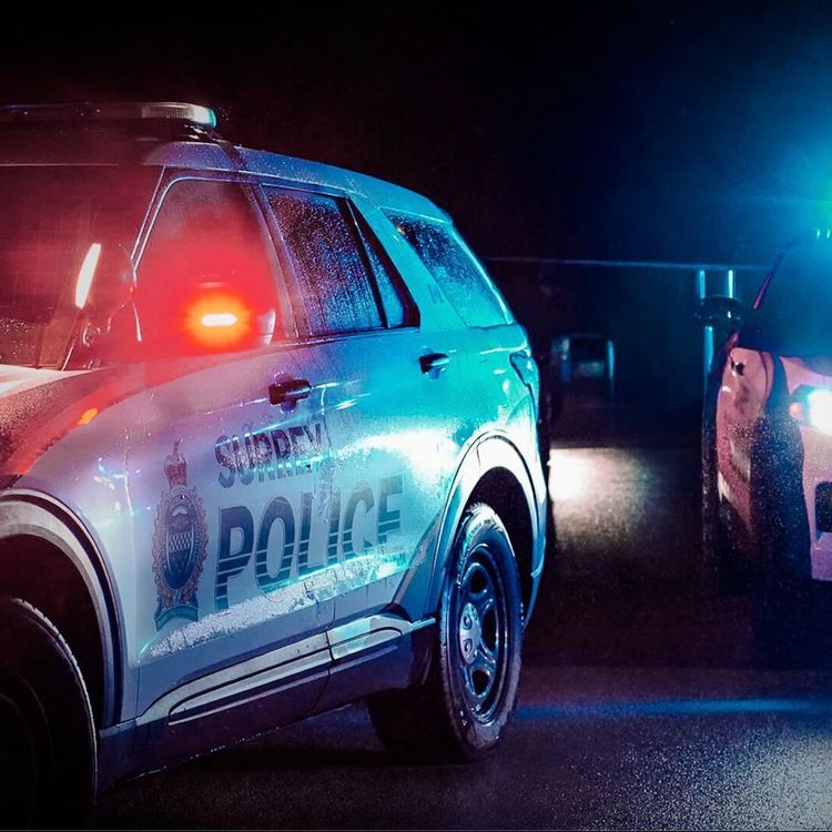 cover art for The Bishnoi Gang’s Extortion Campaign in BC