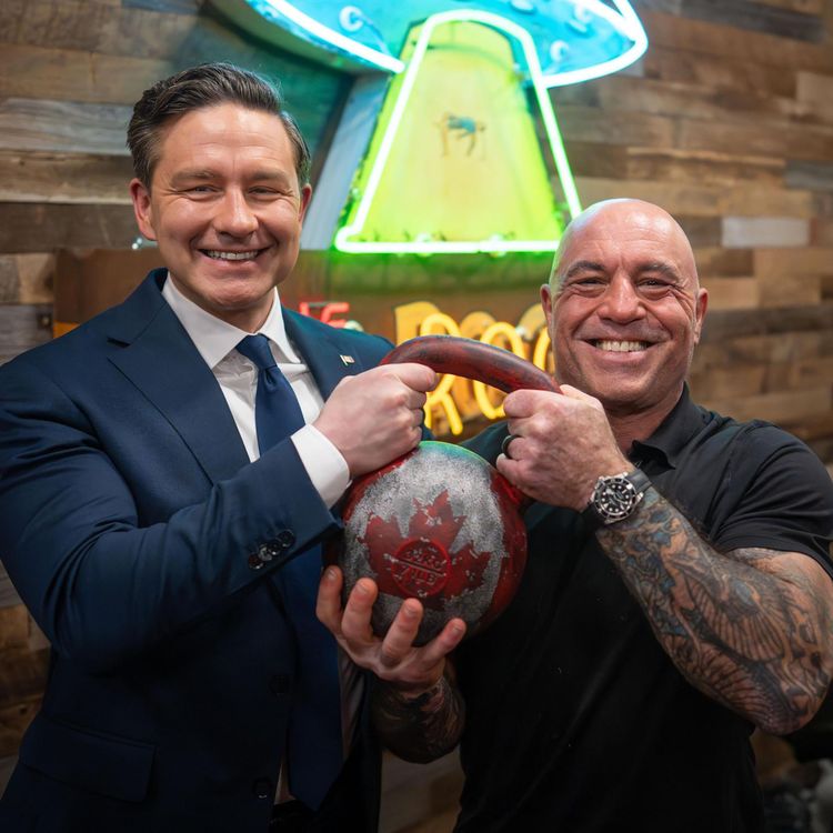 cover art for The Pierre Poilievre Experience