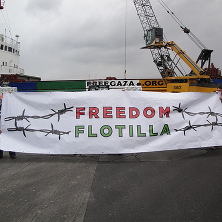 cover art for The Whole Megillah on the Gaza Flotilla