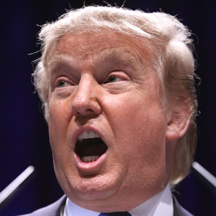 cover art for Surprise! More Trump Tariffs