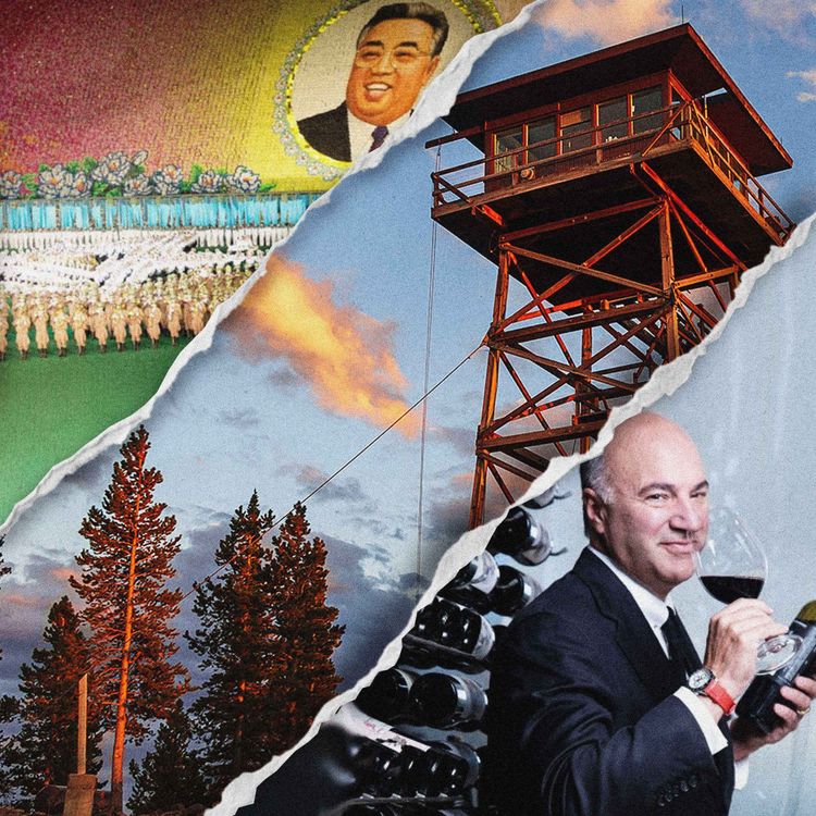 cover art for BONUS: Three Interviews We Never Aired, and Why