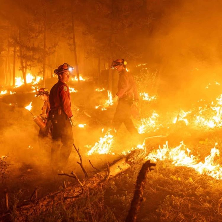cover art for British Columbia is Burning