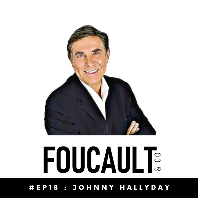 cover art for En avion avec Johnny Hallyday…