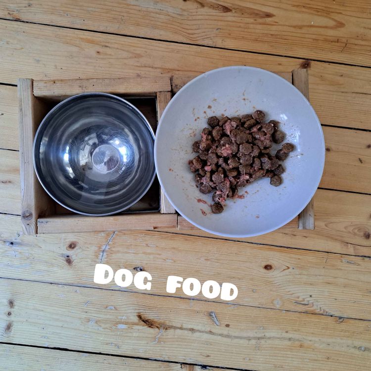cover art for Dog food