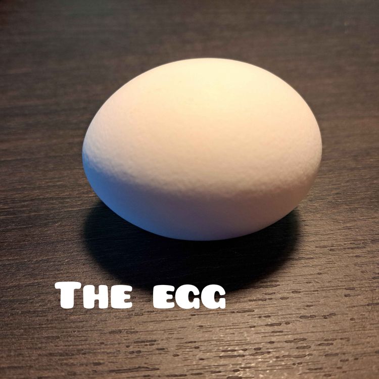 cover art for The Egg