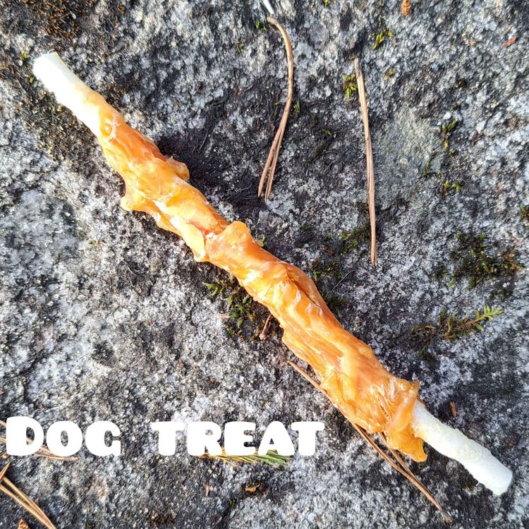 cover art for Dog Treat
