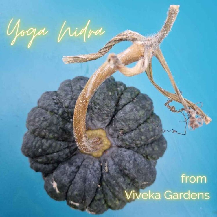 cover art for Nidra on the cusp of Winter