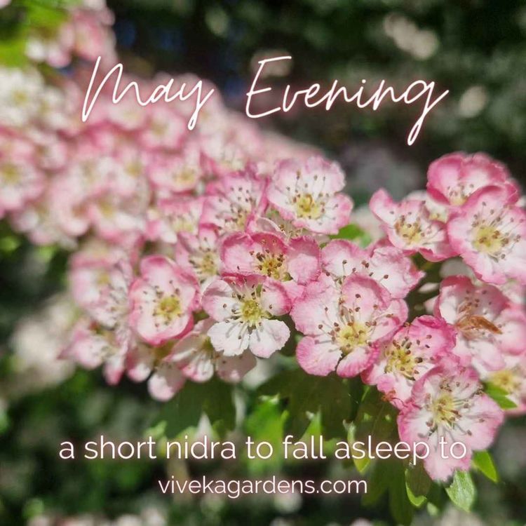 cover art for May Evening