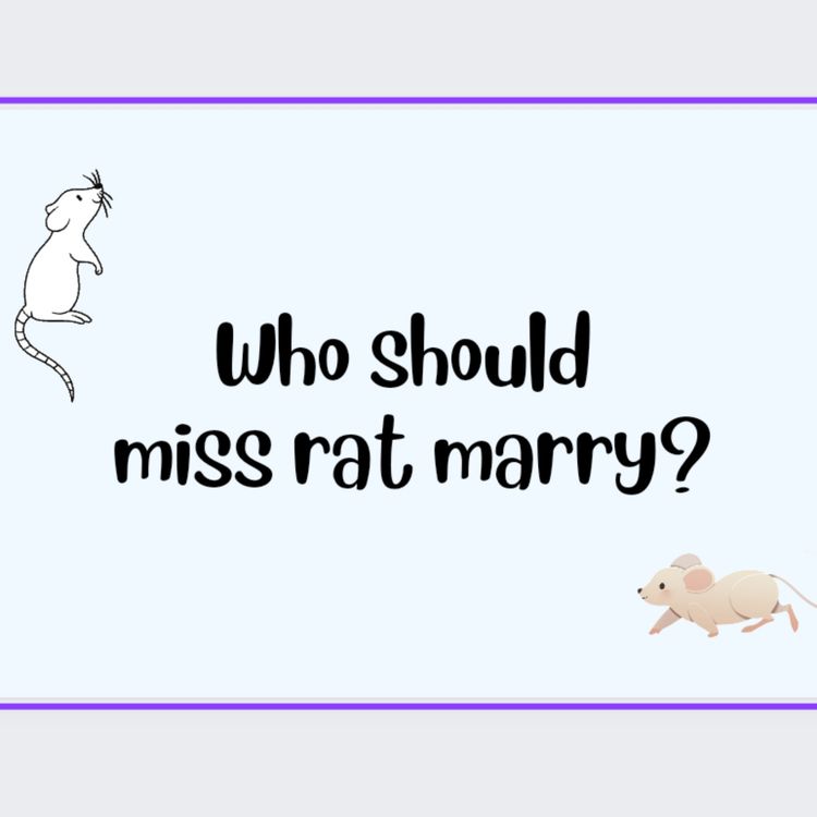 cover art for Story - Who should miss Rat Marry? 