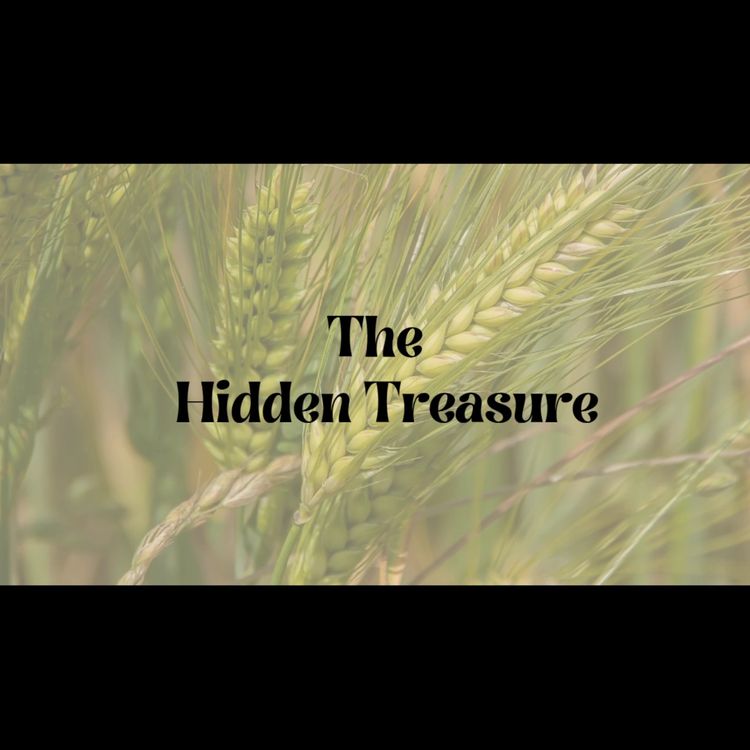 cover art for Story of the hidden treasure 
