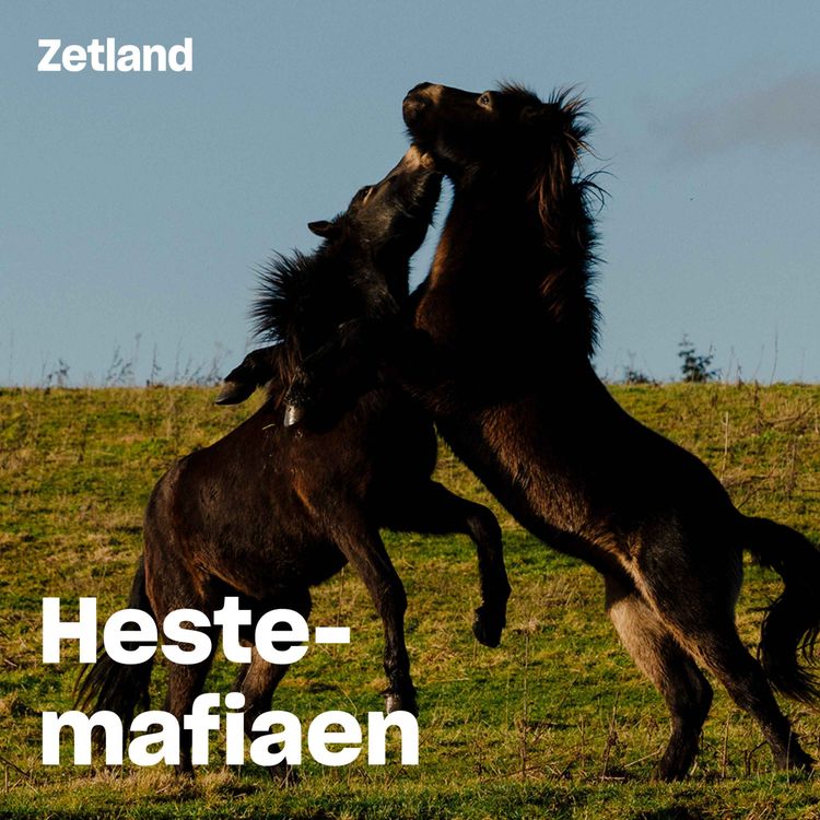 cover art for Hestemafiaen, afsnit 1