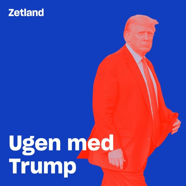 cover art for I topøkonomens skuffe ligger en stor plan