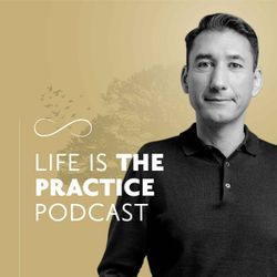 cover art for Life is the Practice