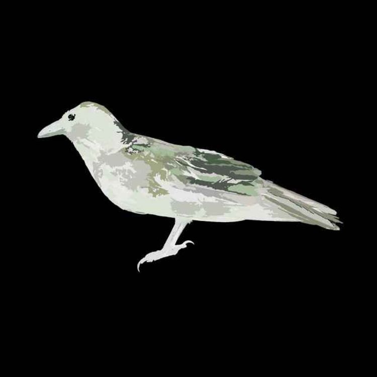 cover art for Back to the Roots 28-02-25