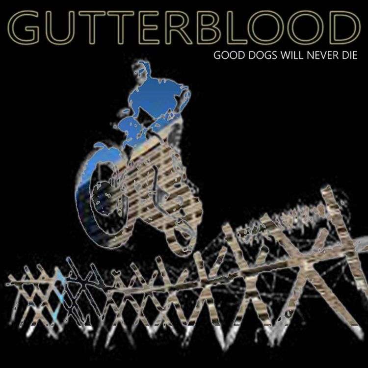 cover art for Back to the Roots 06/11/25