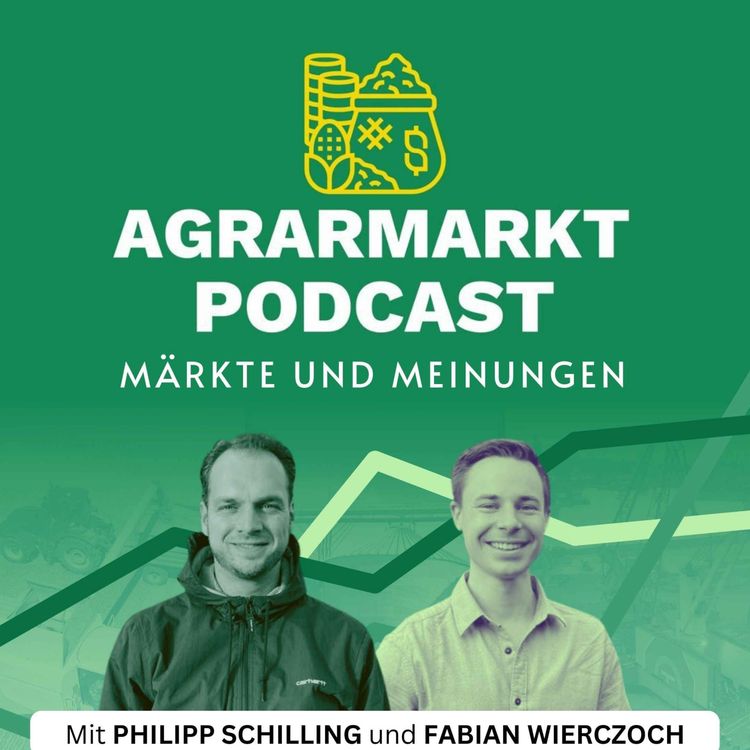 cover art for Blick in die Glaskugel 2023 & das Zünglein an der Waage der Märkte