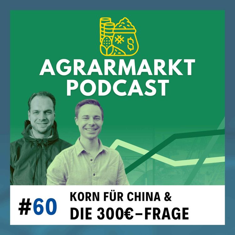 cover art for Die 300€-Frage