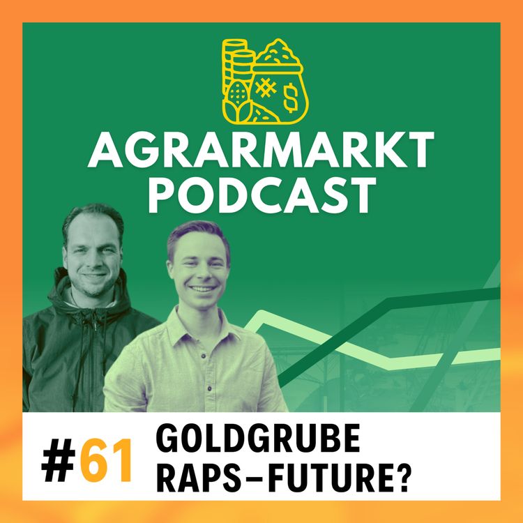 cover art for Goldgrube Rapsfuture? - So verdient man mit dem Future-Auslaufen Geld