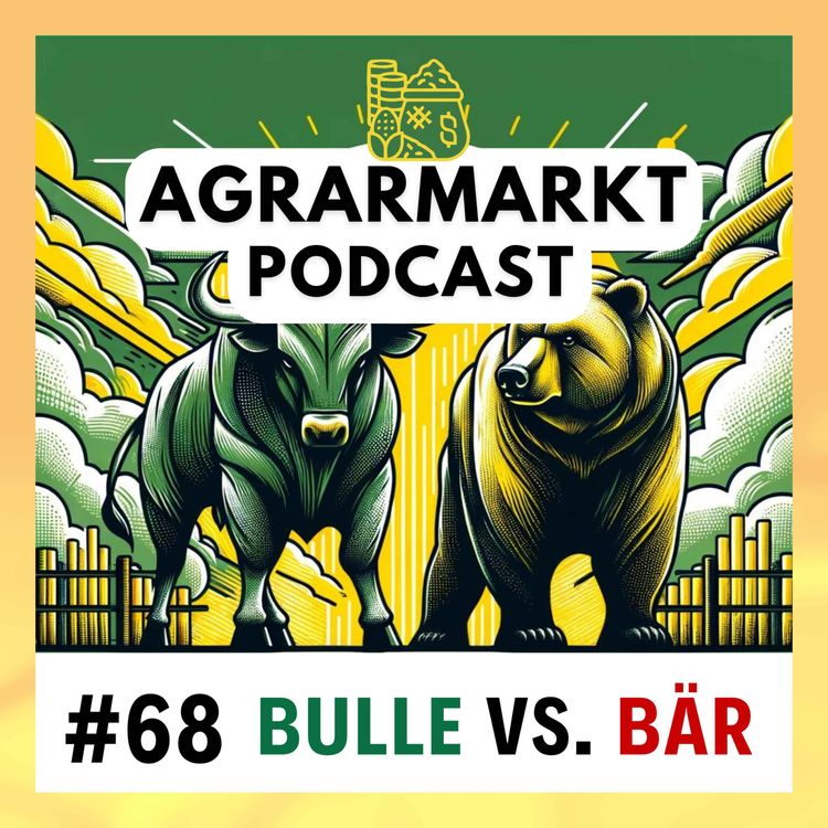 cover art for Bulle gegen Bär - Wohin gehen die Märkte?