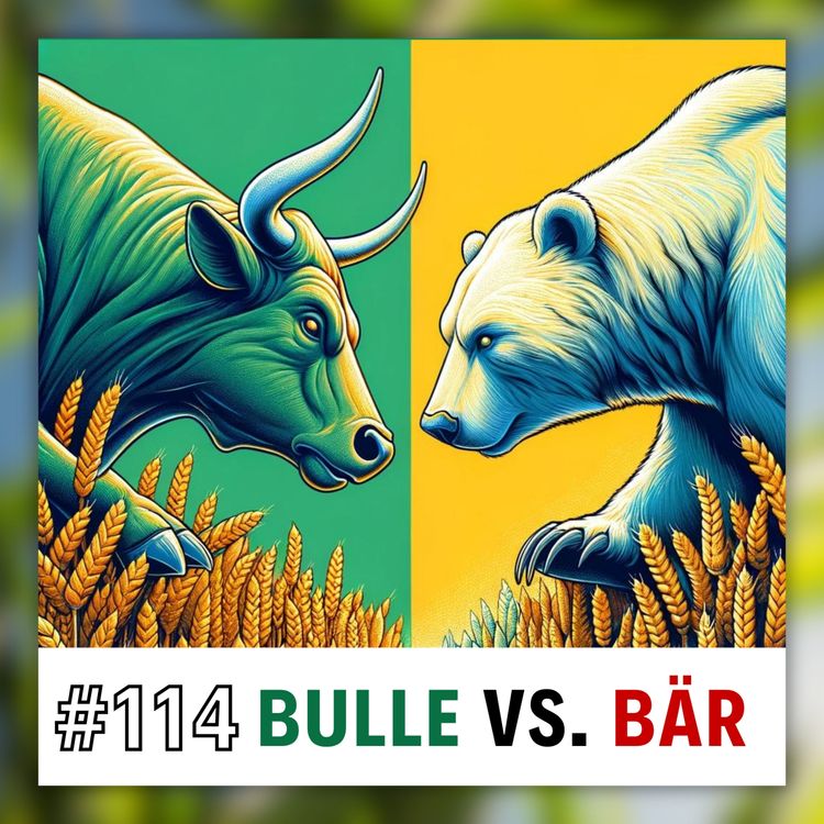 cover art for 💥 Bulle vs. Bär: Der Doppelwumms & das Chaos der Märkte (#114)