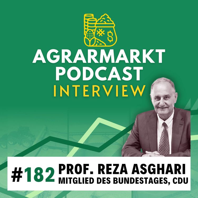 cover art for #182⛽ Kompaktes Bulle vs. Bär & Irankrieg-Analyse mit Reza Asghari (CDU), MdB