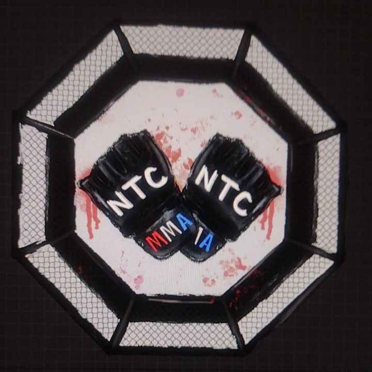 cover art for NTC Episode 28: UFC 308 Aftermath