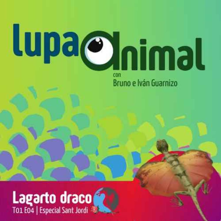 cover art for Lagarto Draco - Especial Sant Jordi
