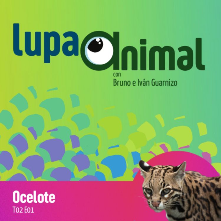 cover art for Ocelote