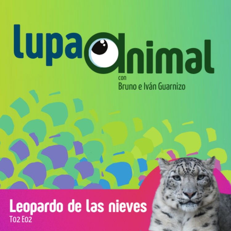 cover art for Leopardo de las nieves