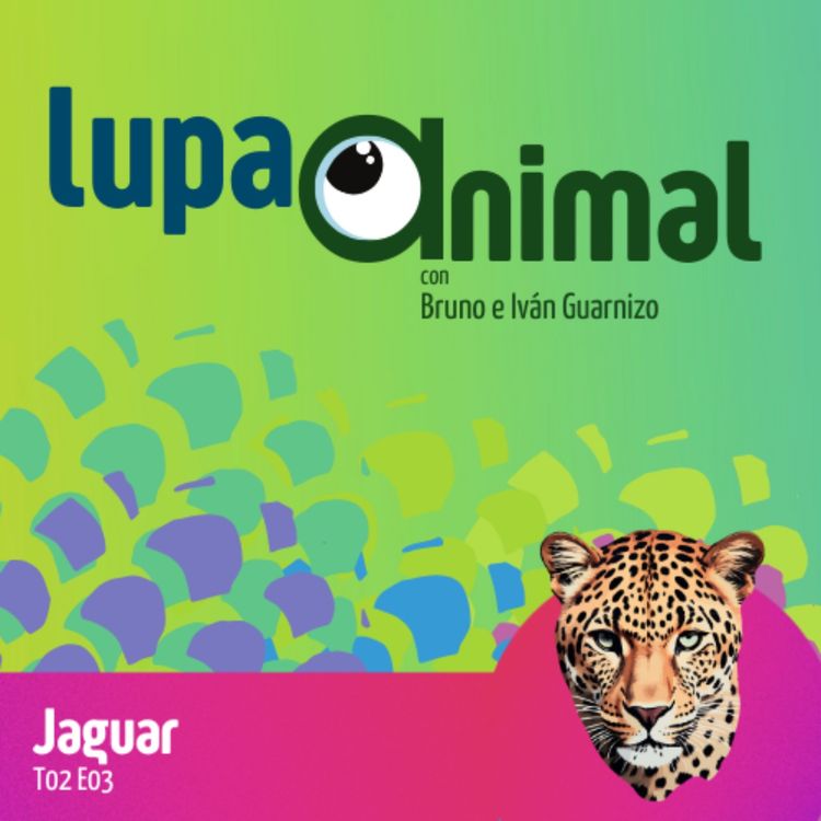 cover art for Jaguar
