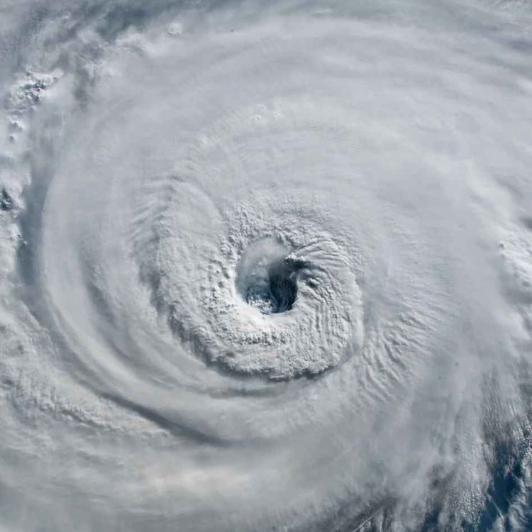 cover art for Oeil du cyclone