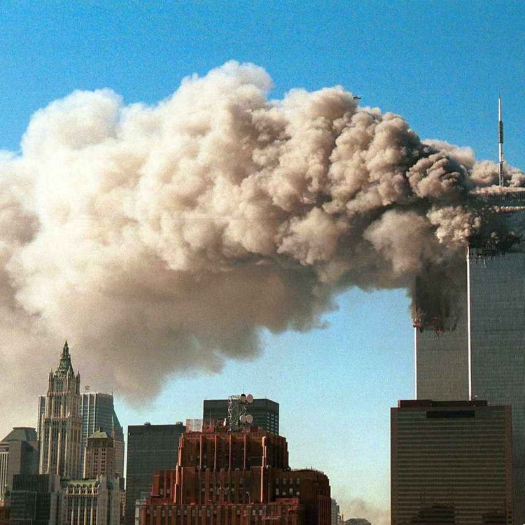 cover art for L'effondrement