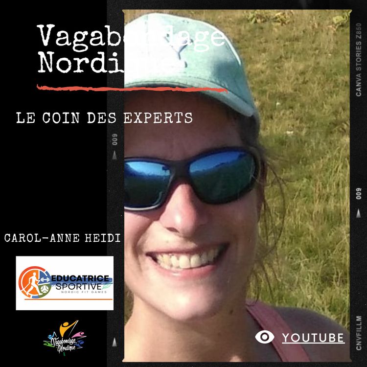 cover art for Vagabondage nordique - LE COIN DES PROS - Un projet en construction