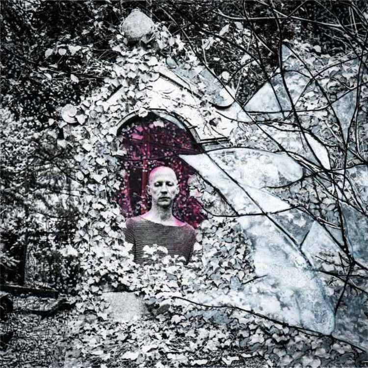 cover art for Tous les Canards 21/05/23