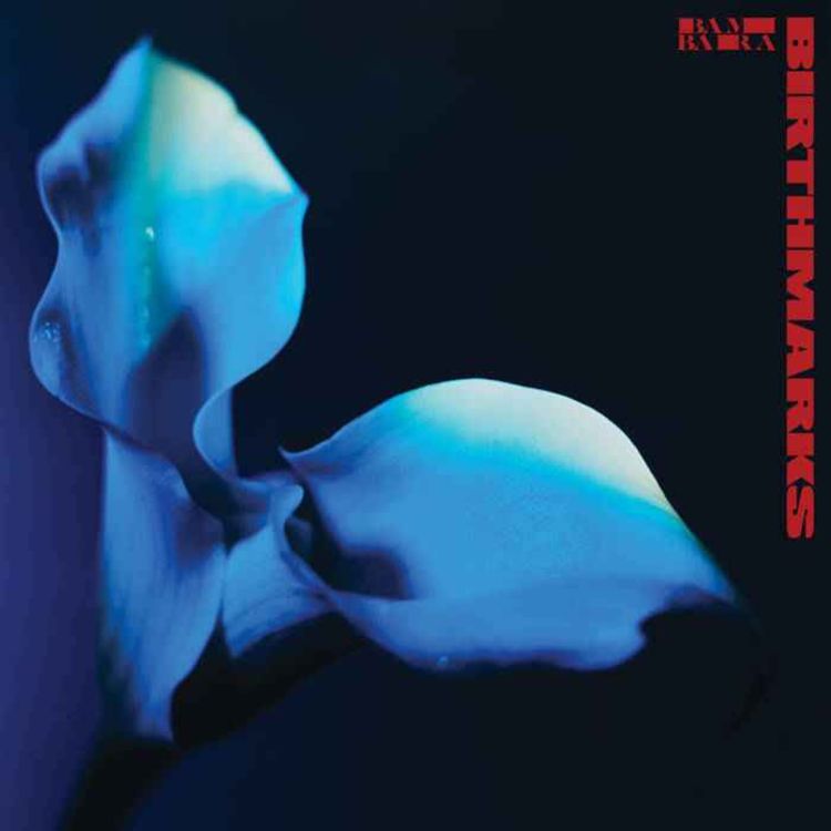 cover art for Tous les canards vont à la mare 01/06/25