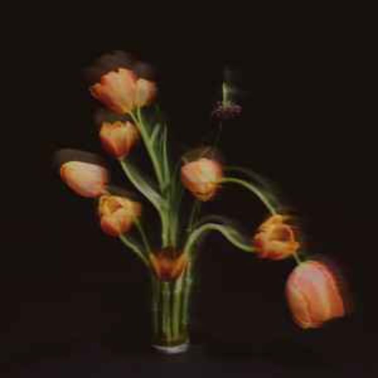 cover art for Tous les Canards 05/10/25