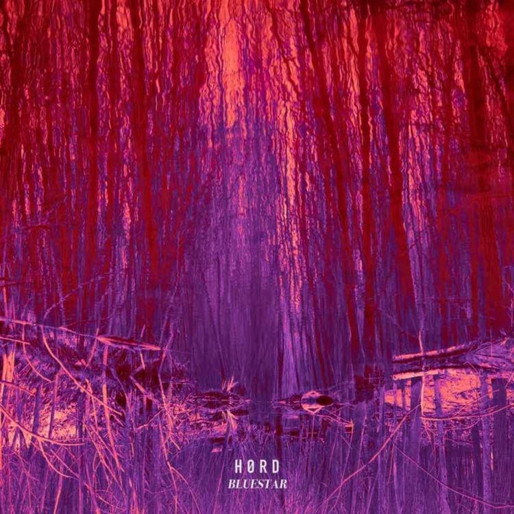 cover art for Tous les canards 14/12/25