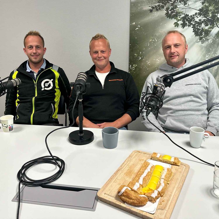 cover art for Brødrene Ødegård