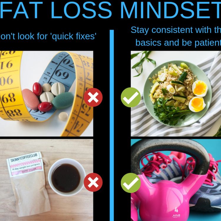 cover art for Going through the basis of fat loss 